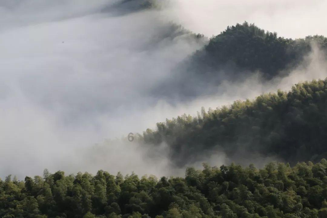 QQ空间板正在初始化是什么意思?知识问答网页,解答你的疑问