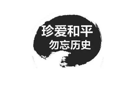 江苏省人大代表、华西新市村党委书记吴协恩:靠发展解决问题